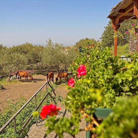 Apartamento Horse House Ragalna Exterior foto